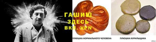 ALPHA-PVP Гусев