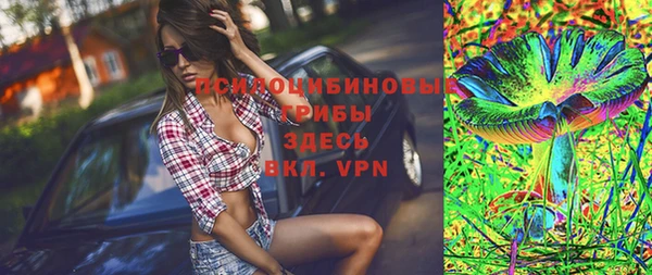 не бодяженный Гусь-Хрустальный