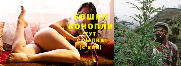 ALPHA-PVP Гусев