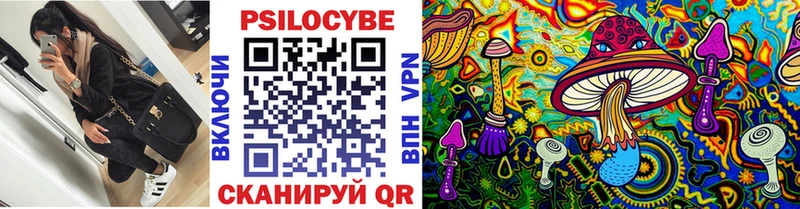 Галлюциногенные грибы прущие грибы  МЕГА как войти  Новосокольники 